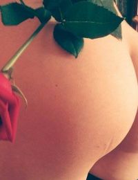 Rebecuta