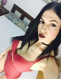 Andreeareala